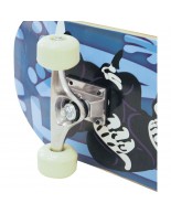 Skateboard AMILA Special (48939)