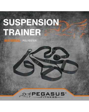 Pegasus® Ιμάντες Ενδυνάμωσης (Suspension Trainer) Β 0999