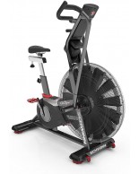 Ποδήλατο Γυμναστικής Schwinn Airdyne AD8 (Π 138)