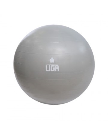 Μπάλα γυμναστικής 55cm (Gym Ball) (Γκρί) Ligasport