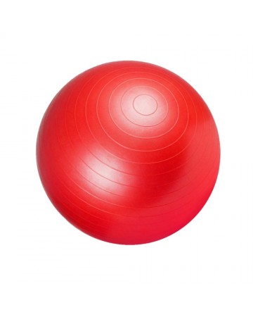 Gym Ball-55cm Ligasport