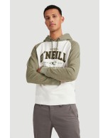 ONEILL M OUTDOOR UNI HOODY (0P1426-1030) ΦΟΥΤΕΡ Χακί