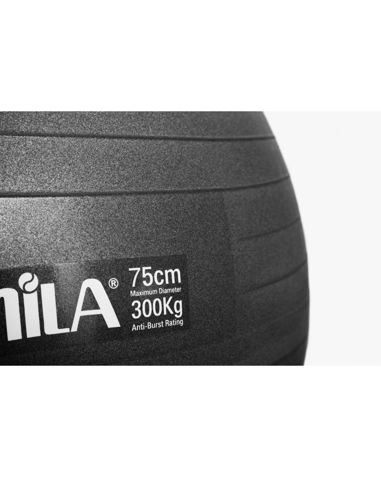 Μπάλα Γυμναστικής AMILA GYMBALL 75cm Μαύρη 95865