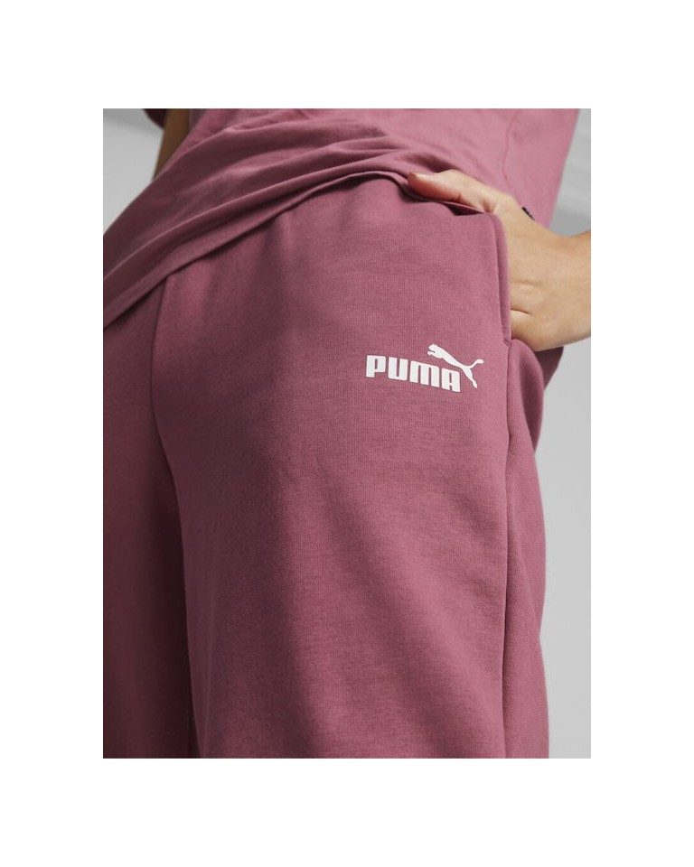 Γυναικείο Παντελόνι Φόρμας Puma ESS Sweatpants FL cl (s) 586841-45