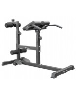 Viking RC-2 Back & Glute Trainer