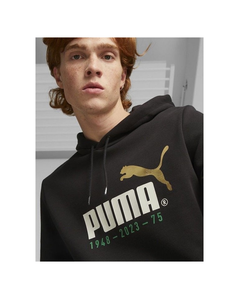 Ανδρικό Φούτερ Puma No. 1 Logo Celebration Hoodie FL 676021-01