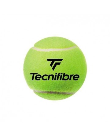 Μπαλάκια Tennis Tecnifibre TF Club Pet (4 balls)