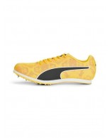 Ανδρικά Παπούτσια Running Puma Evospeed Star 8 377959-01